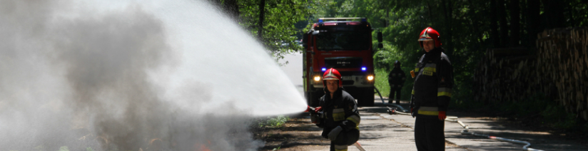 Kliknięcie w obrazek spowoduje wyświetlenie jego powiększenia