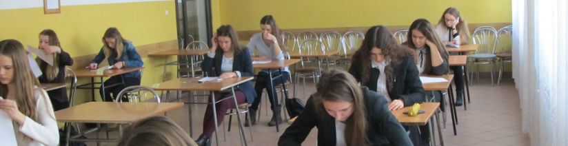 Kliknięcie w obrazek spowoduje wyświetlenie jego powiększenia