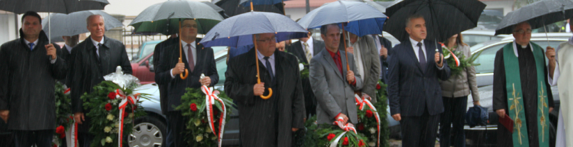 Kliknięcie w obrazek spowoduje wyświetlenie jego powiększenia