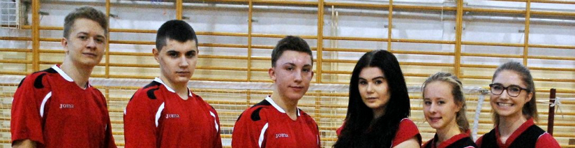 Kliknięcie w obrazek spowoduje wyświetlenie jego powiększenia
