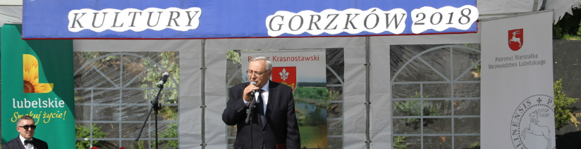 Kliknięcie w obrazek spowoduje wyświetlenie jego powiększenia